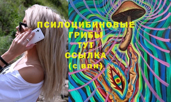 MDMA Богородицк