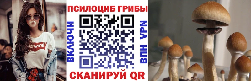 Галлюциногенные грибы мицелий Княгинино